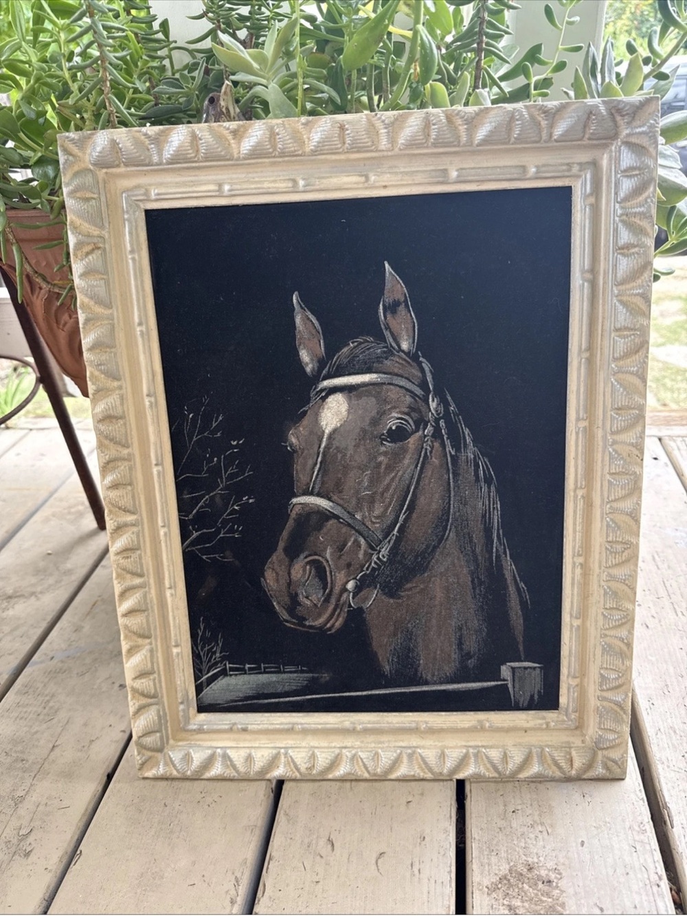 Framed Brown Horse Portrait Art Cream Frame Vintage Velvet Painting